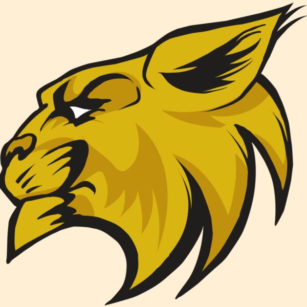 AR30 WILDCAT 02 RQC Thumbnail