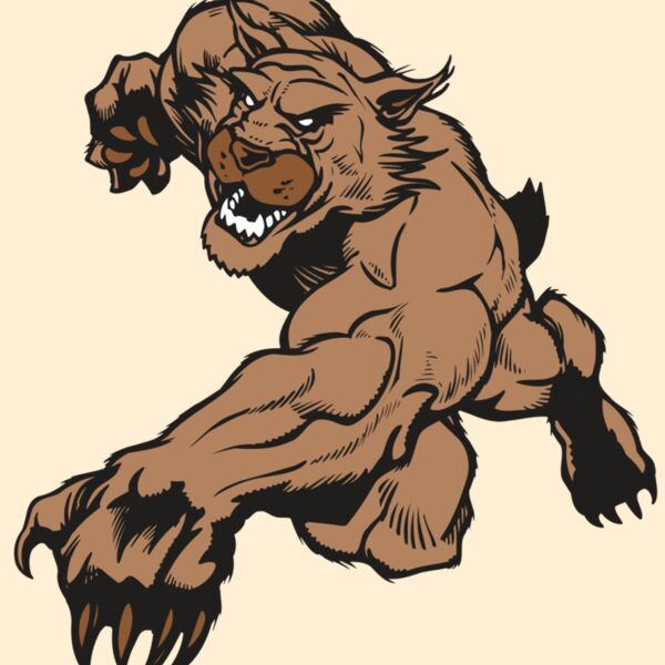 AR WILDCAT 47 RC Thumbnail