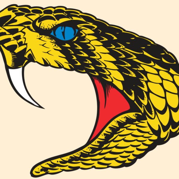 BAW SNAKE 06 RC Thumbnail