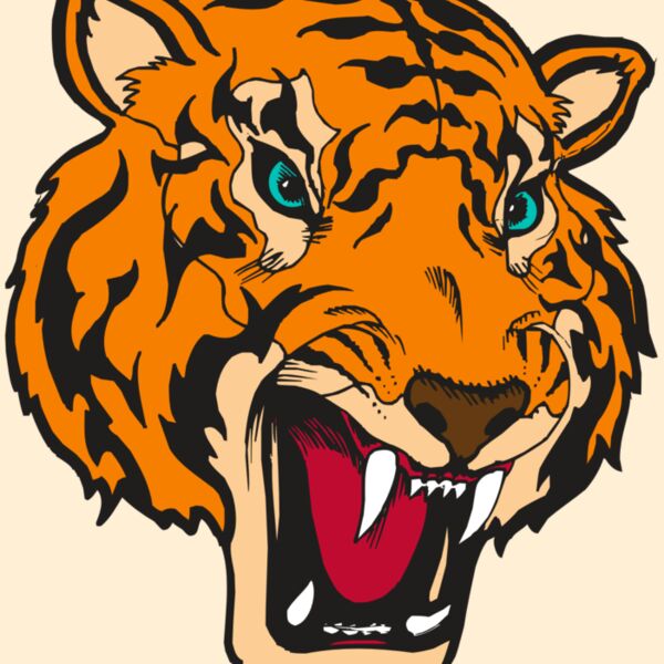 BAW TIGER 12 RC Thumbnail