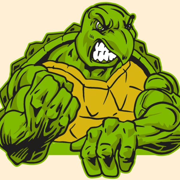 AR31 TURTLE 01 RQC Thumbnail