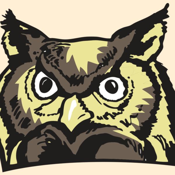 AR OWL 10 RC Thumbnail