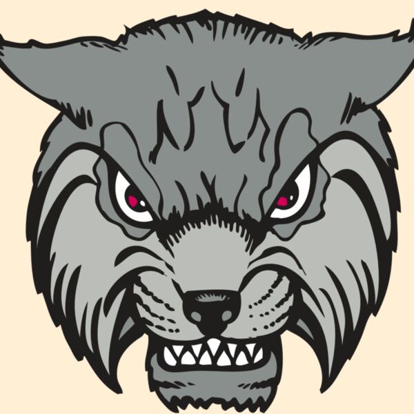 BAW BOBCAT 02 RC Thumbnail