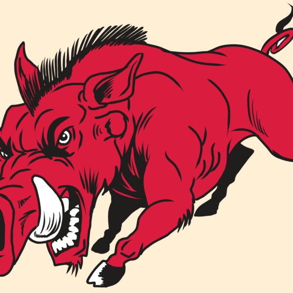 AR22 RAZORBACK 01 RQC Thumbnail