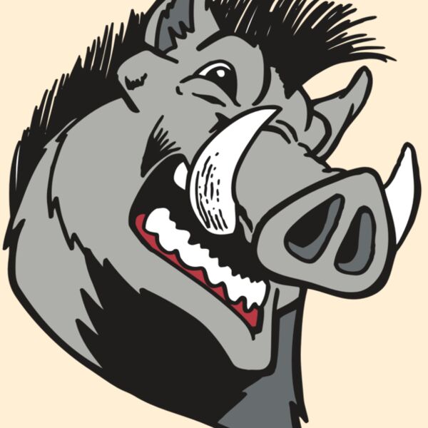 AR RAZORBACK 15 RC Thumbnail