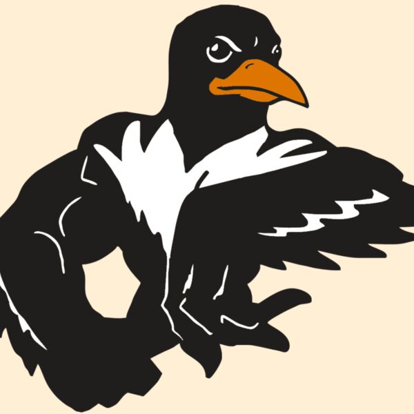 AR ORIOLE 22 RC Thumbnail