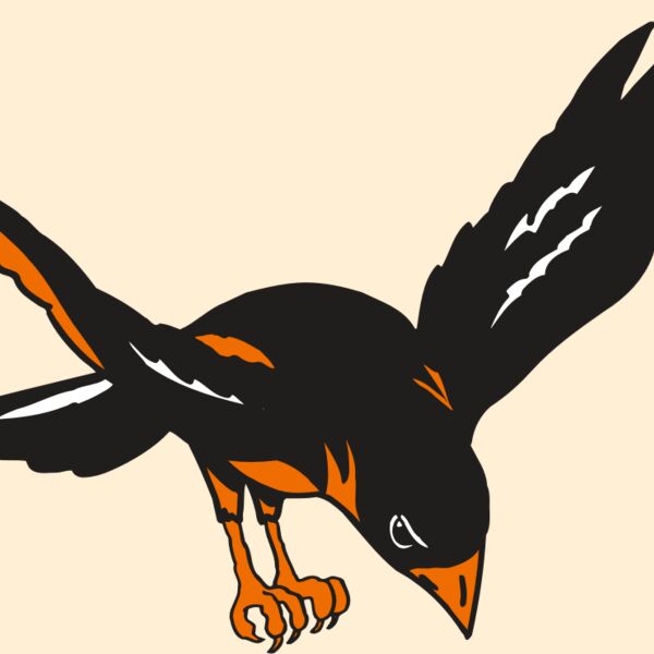 AR ORIOLE 16 RC Thumbnail