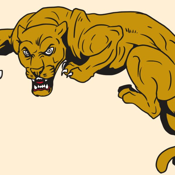 AR10 PANTHER 02 RQC Thumbnail