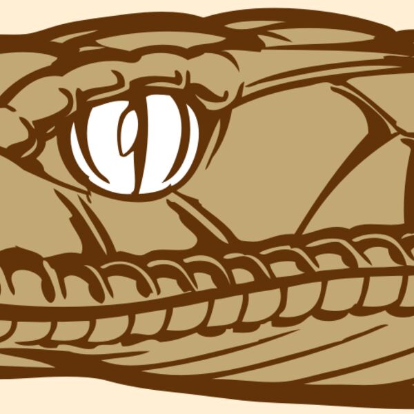 BAW SNAKE 12 RC Thumbnail