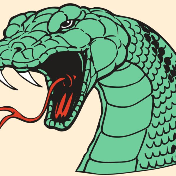 AR SNAKE 10 RC Thumbnail