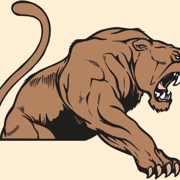 AR COUGAR 55 RC Thumbnail