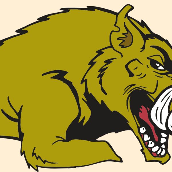 AR RAZORBACK 23 RC Thumbnail