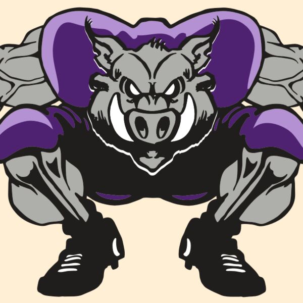 AR RAZORBACK 28 RC Thumbnail