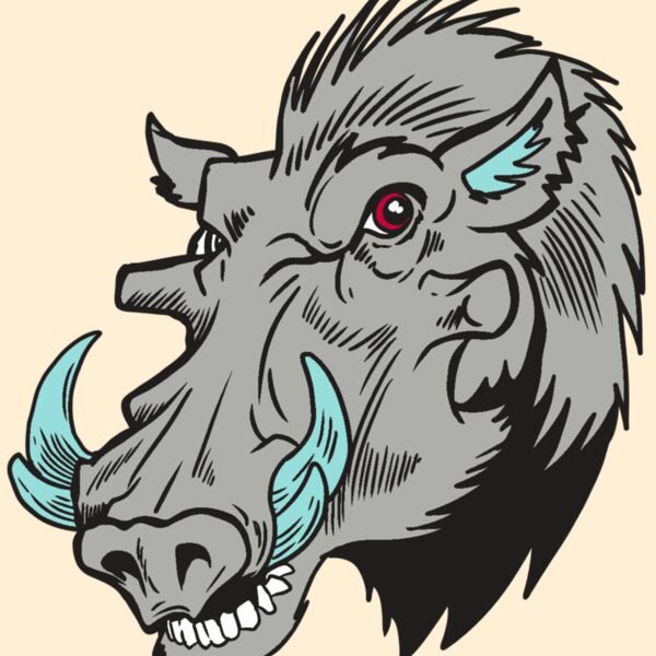 AR20 RAZORBACK 39 RQC Thumbnail