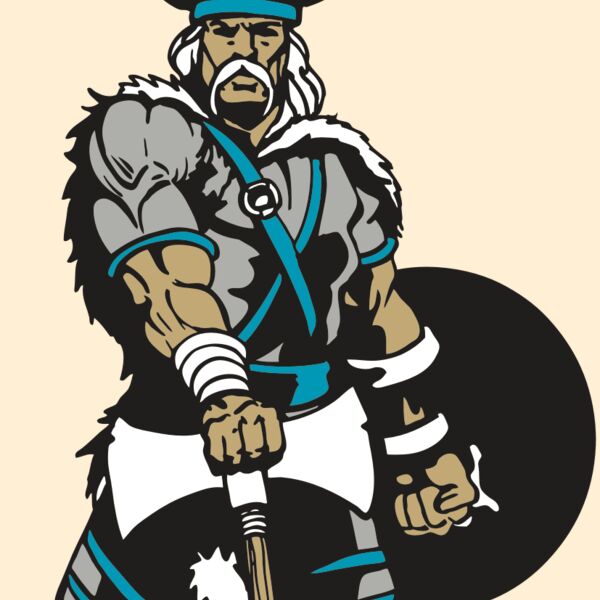 AR VIKING 41 RC Thumbnail