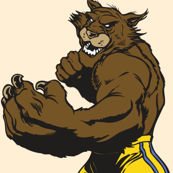 AR WILDCAT 48 RC Thumbnail