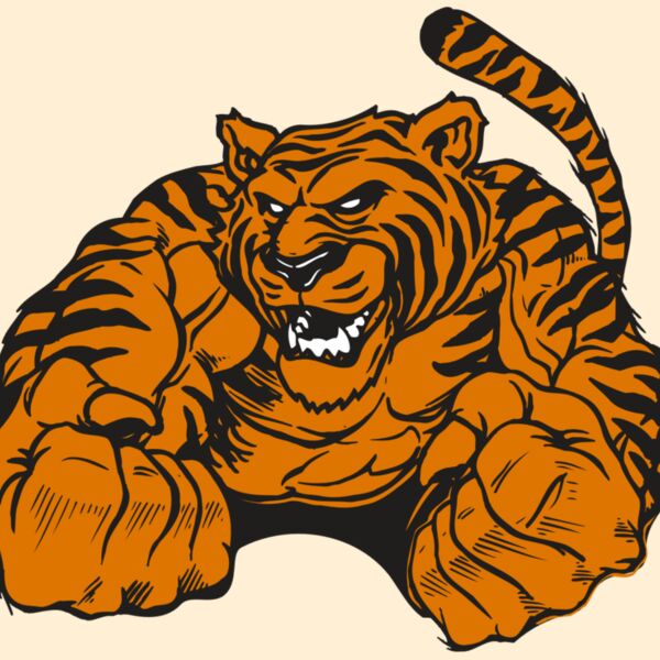 AR TIGER 55 RC Thumbnail