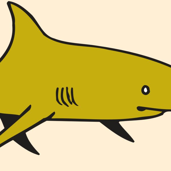 AR  SHARK 30 RC Thumbnail