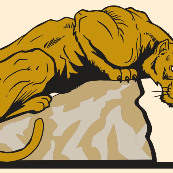 AR10 PANTHER 01 RQC Thumbnail