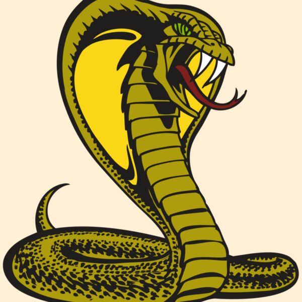 BAW SNAKE 02 RC Thumbnail