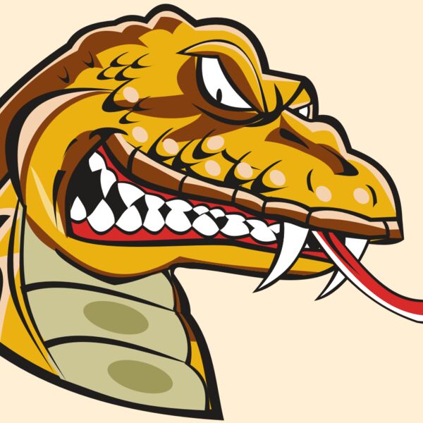 SNAKE HD0504 RQC Thumbnail