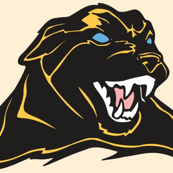 AR COUGAR 42 RC Thumbnail