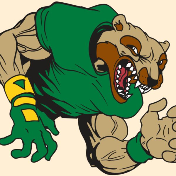 AR5 Wolverine 17 RQC Thumbnail