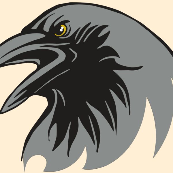 AR31 RAVEN 02 RQC Thumbnail