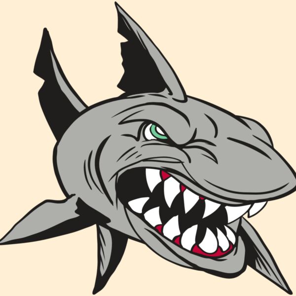 AR4 SHARK 01 RQC Thumbnail