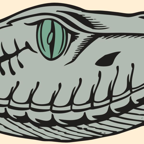 BAW SNAKE 10 RC Thumbnail