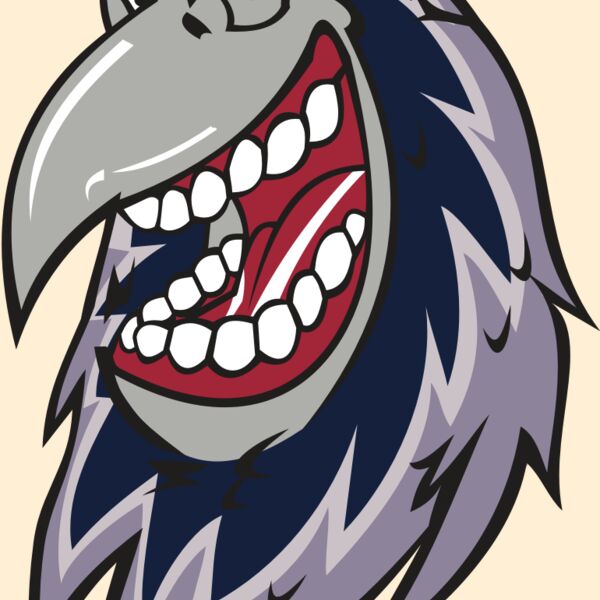 RAVEN HD0503 RQC Thumbnail