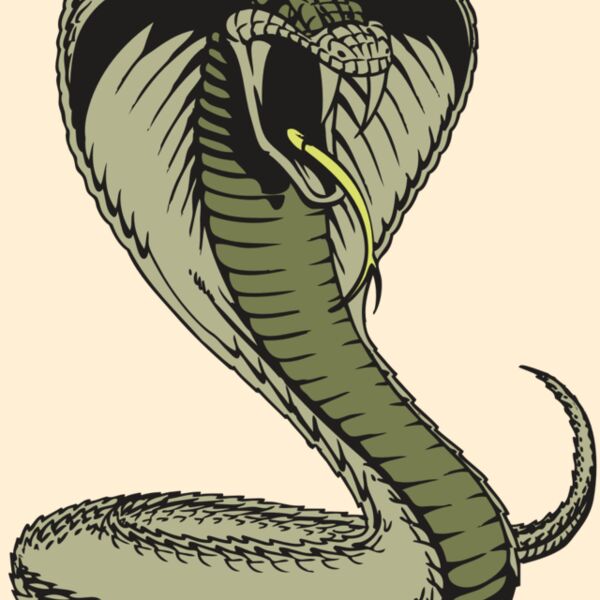 BAW SNAKE 07 RC Thumbnail