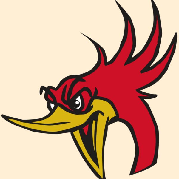 AR31 ROADRUNNER 02 RQC Thumbnail