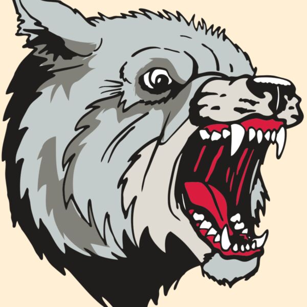 AR WOLF 38 RC Thumbnail