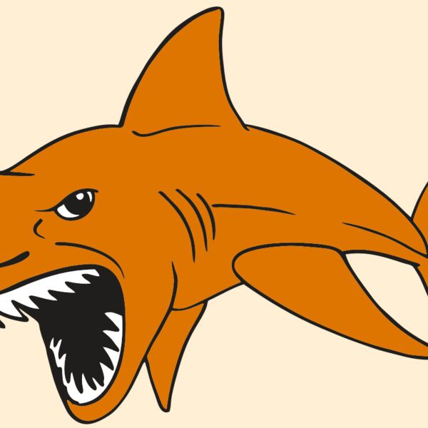 AR  SHARK 20 RC Thumbnail