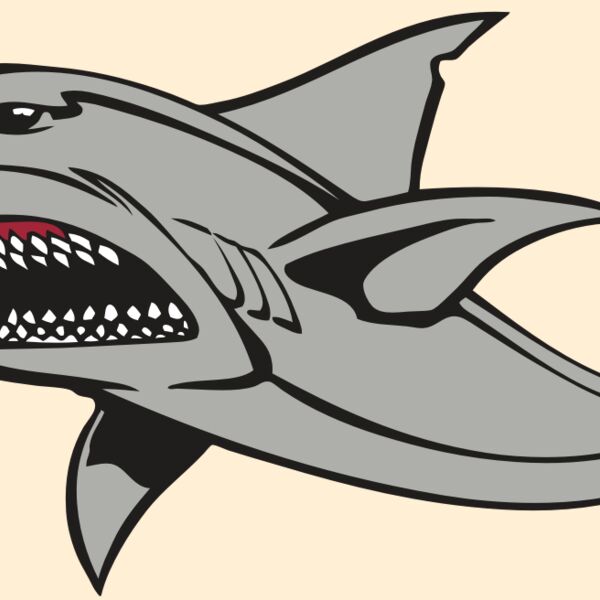 BAW SHARK 03 RC Thumbnail