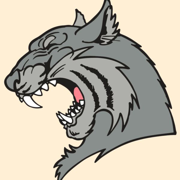 AR WILDCAT 41 RC Thumbnail