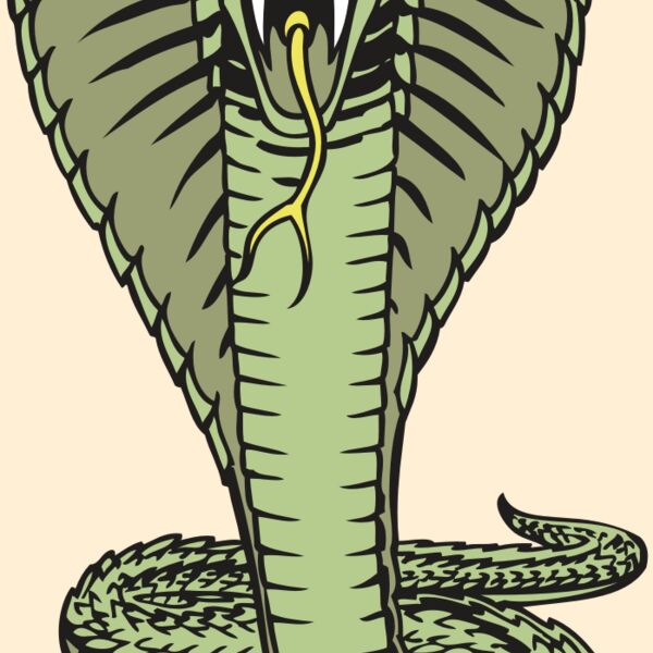 BAW SNAKE 15 RC Thumbnail