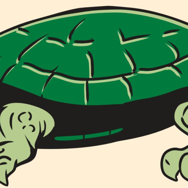 AR32 TURTLE 01 RQC Thumbnail