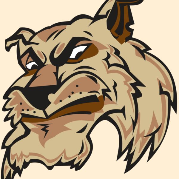 WILDCAT HD0501 RQC Thumbnail