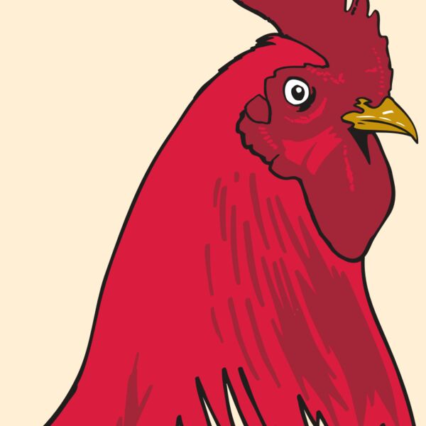 AR OTHER 19 RC Thumbnail