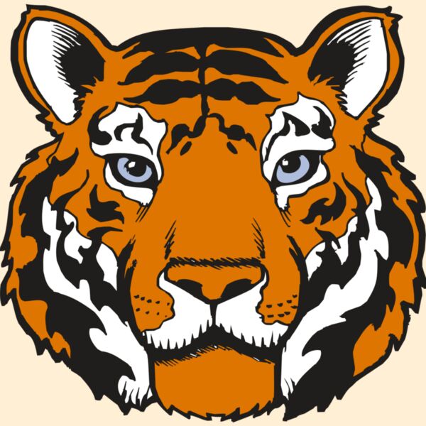 BAW TIGER 02 RC Thumbnail