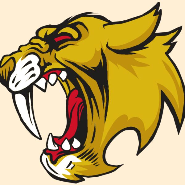 AR30 SABER 04 RQC Thumbnail