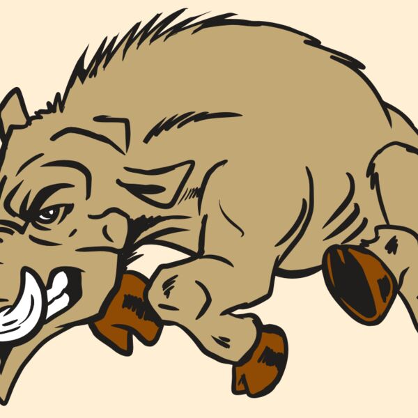 AR20 RAZORBACK 37 RQC Thumbnail