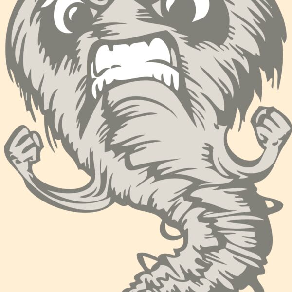 BAW STORM 07 RC Thumbnail