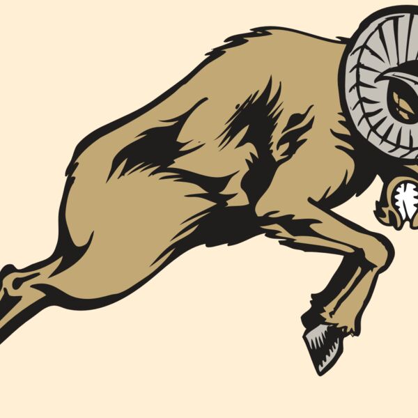 BAW RAM 04 RC Thumbnail