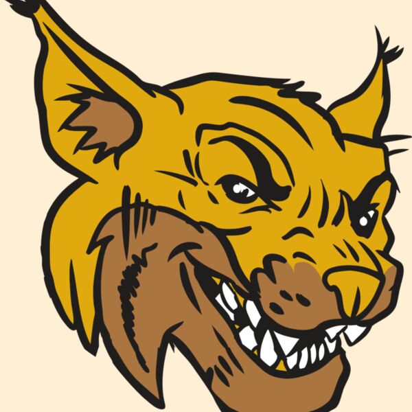 AR15 WILDCAT 01 RQC Thumbnail