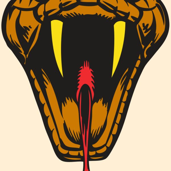 BAW SNAKE 05 RC Thumbnail