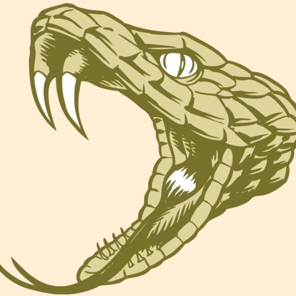 BAW SNAKE 11 RC Thumbnail