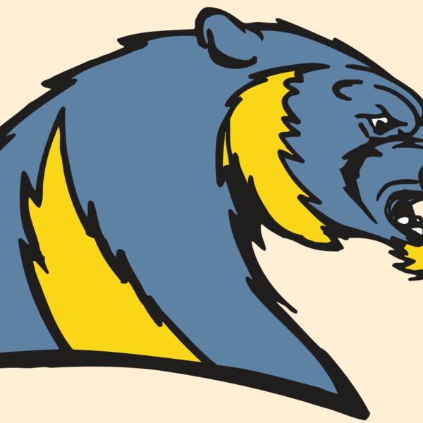 AR5 Wolverine 20 RQC Thumbnail